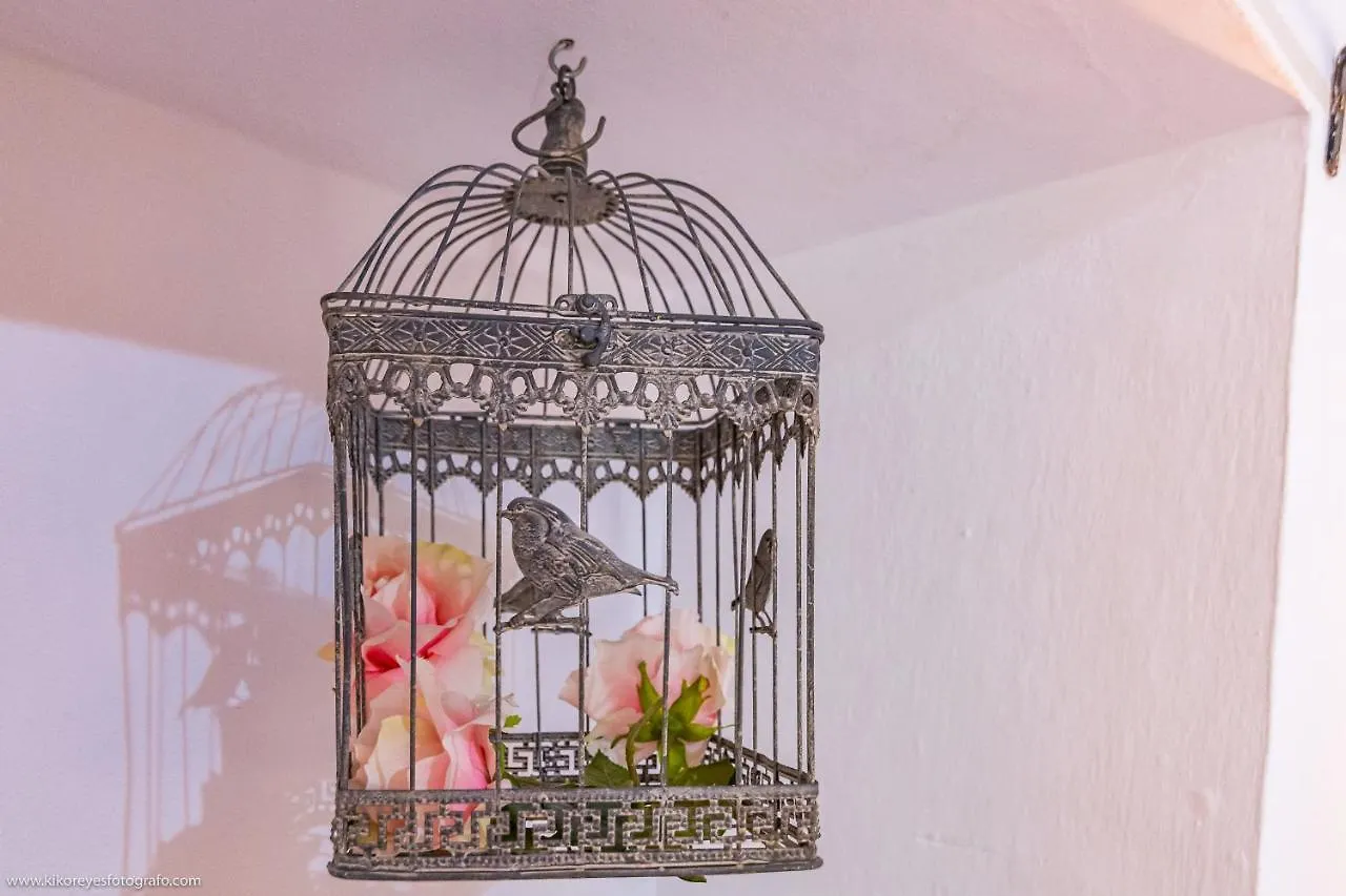 Cortijo El Indiviso Pension Vejer de la Frontera Landhuis