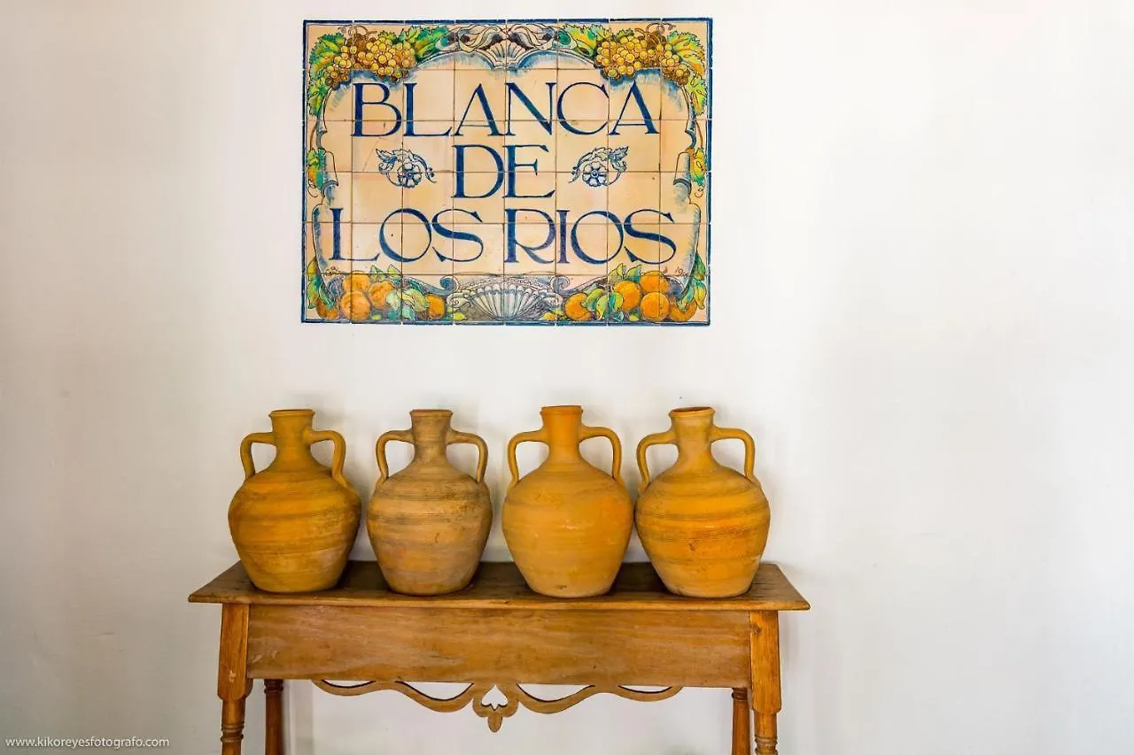 Cortijo El Indiviso Konuk evi Vejer de la Frontera Kır Evi