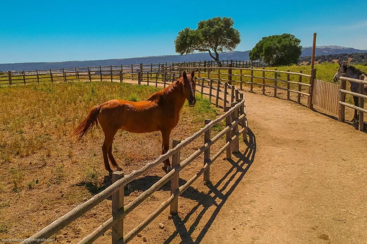 Kır Evi Cortijo El Indiviso Konuk evi Vejer de la Frontera